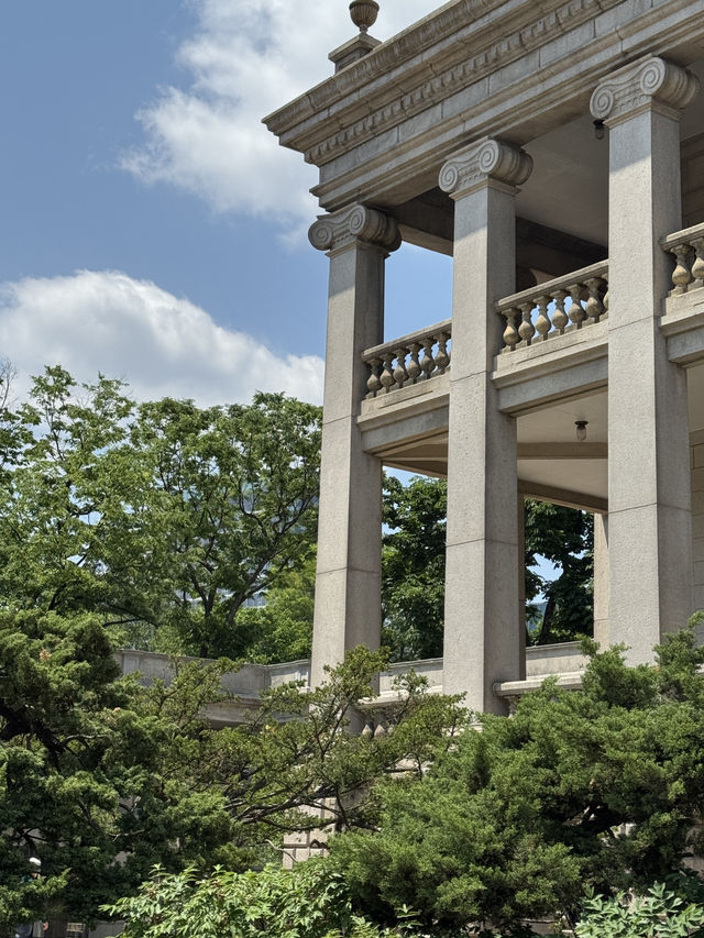 🌸 도심 속 고궁의 여유, 덕수궁 산책하기 🏛️🌿