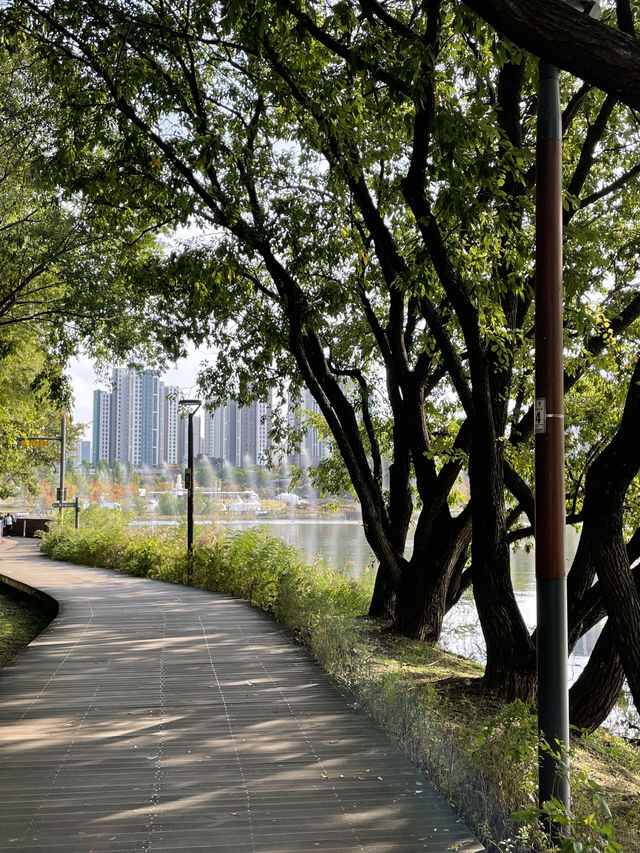 🌳 물빛과 바람이 머무는 곳, 동탄 호수공원 🌊🌿