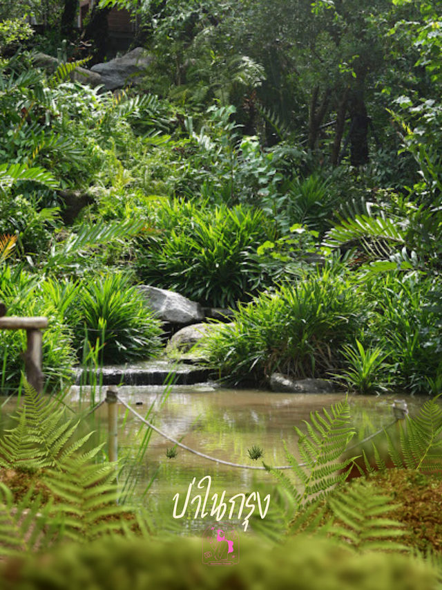 🌴ป่าในกรุง เรียนรู้ธรรมชาติ