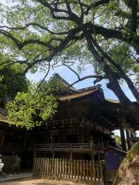 香川｜千階樓梯挑戰的金刀比羅宮 與金比羅犬有趣歷史