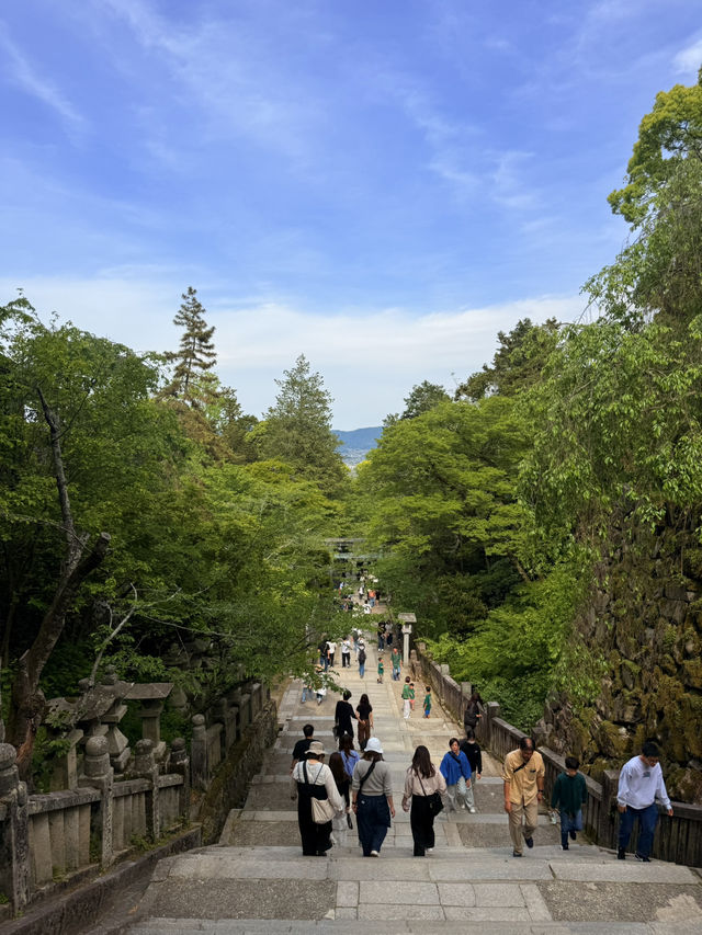 香川｜千階樓梯挑戰的金刀比羅宮 與金比羅犬有趣歷史