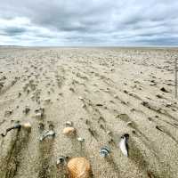 Norderney