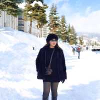 โอตารุ เมืองท่าสุดน่ารัก ที่ Hokkaido 