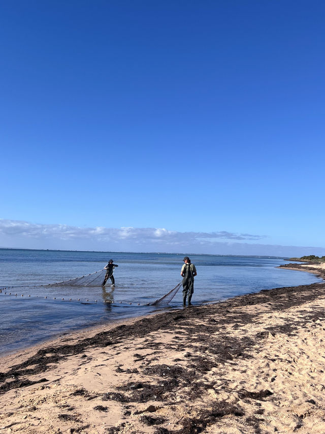 🌊⚓️ Queenscliff Feels Like a Postcard You Can Walk Into