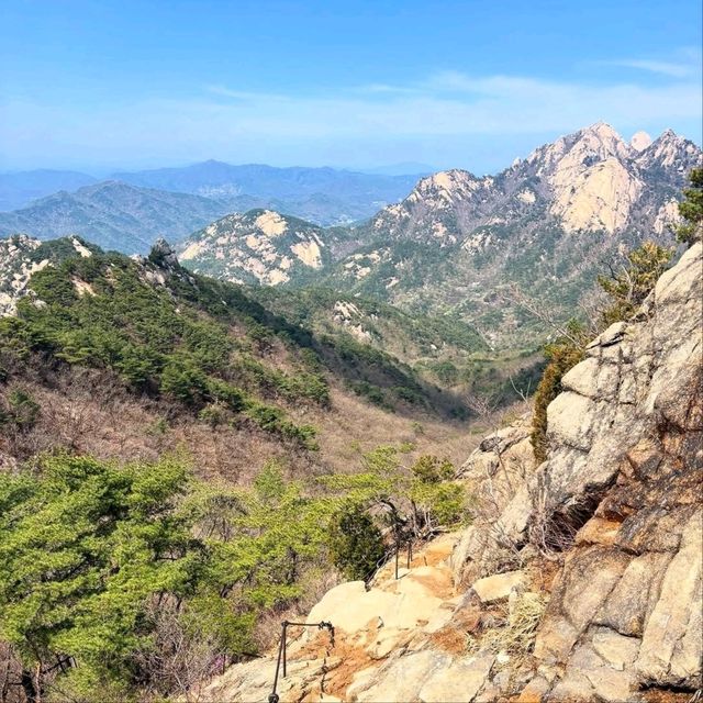 Nature Break with Zero Stress