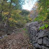 Quiet Trails Baekamsan