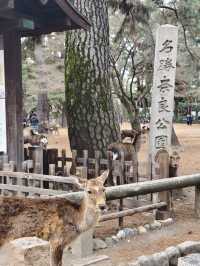 國家風景名勝區，奈良公園
