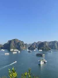 下龍灣郵輪：海上詩篇，光影讚歌