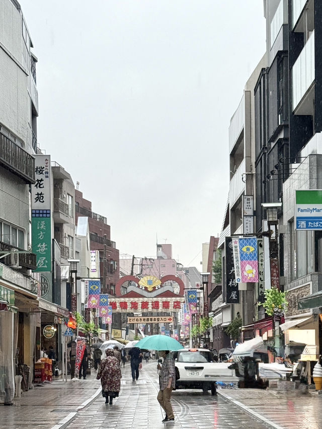 도쿄여행코스추천 스가모지조도오리상점가