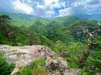 Dutasan: The Mountain That Pretends to Be Chill (But Isn’t)