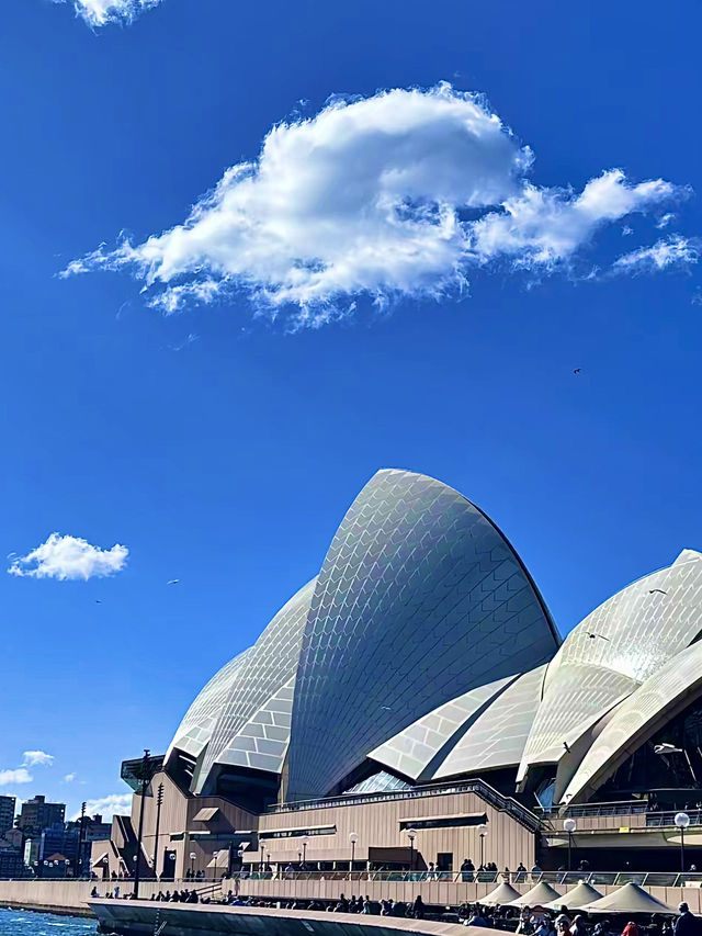 ออสเตรเลีย🇦🇺