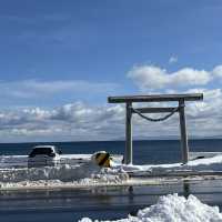 道南いさりび鉄道の旅