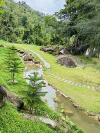 Nature’s Pause: A Calm Break at The Qiū Dining