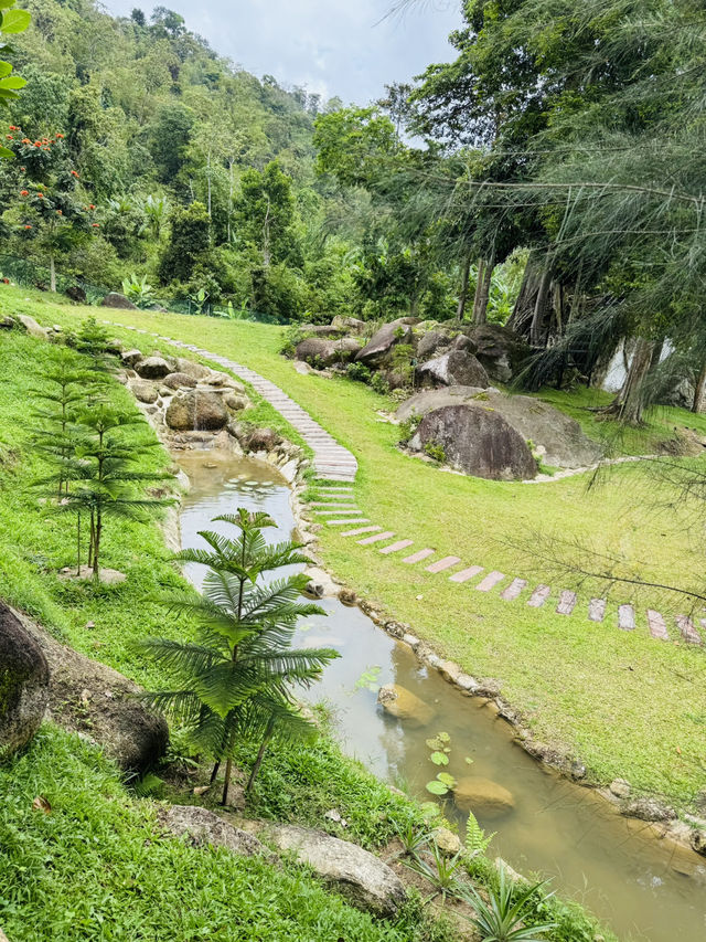 Nature’s Pause: A Calm Break at The Qiū Dining