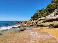 Totaranui Beach