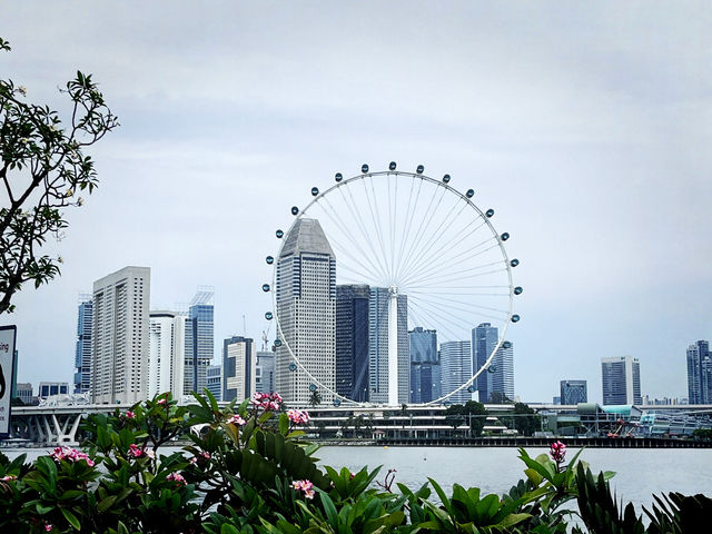 Travel Wonderland at Jewel Changi – A Magical Escape in Transit