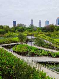 Serenity in the city: A stroll through Benchakiti Park, Bangkok