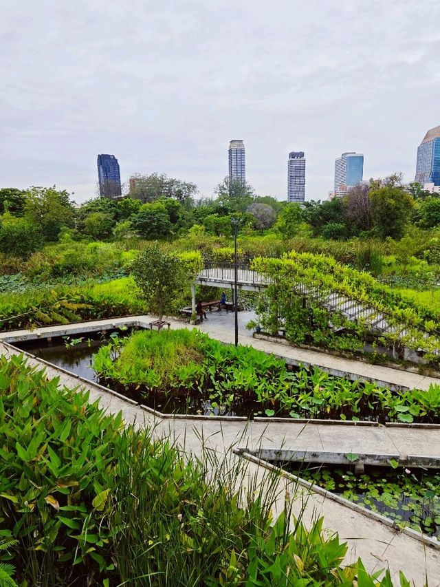 Serenity in the city: A stroll through Benchakiti Park, Bangkok