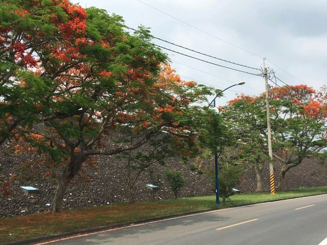 🏞️仁義潭+祇園寺