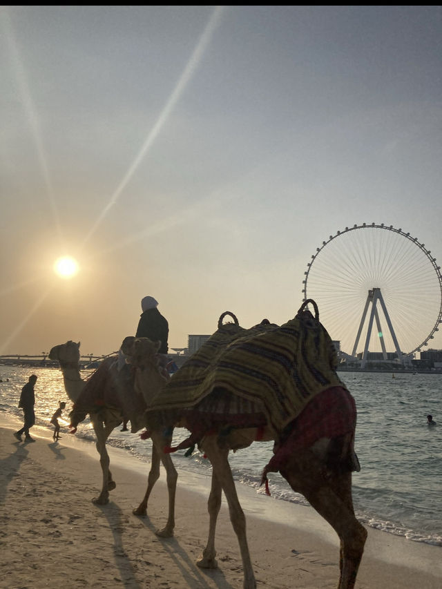 都会×海で昼も夜も楽しめる🐪ドバイマリーナ🎡✨