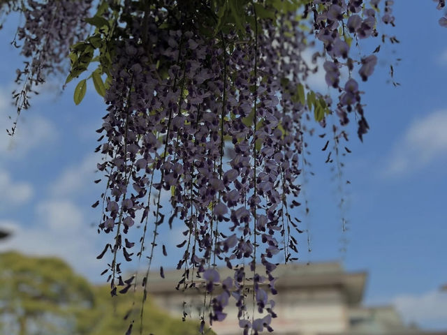 🦊【茨城・笠間市 笠間稲荷神社 & 笠間焼】五穀豊穣と陶芸体験で心満たされる里山旅 