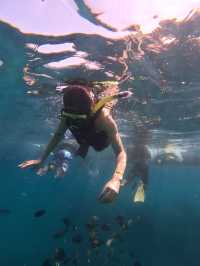 “Nusa Penida: The Jewel of Bali’s Coastline” 🏝️