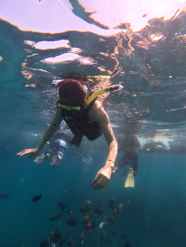 “Nusa Penida: The Jewel of Bali’s Coastline” 🏝️