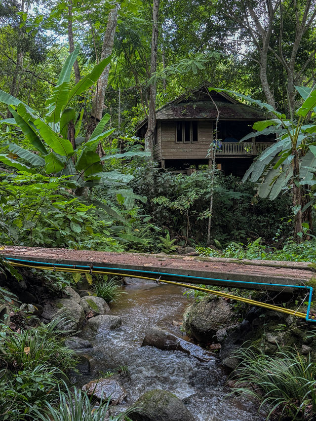 ฤดูฝนที่บ้านป่าเหมี้ยง จ.ลำปาง 🏡⛰️🌧️🌳