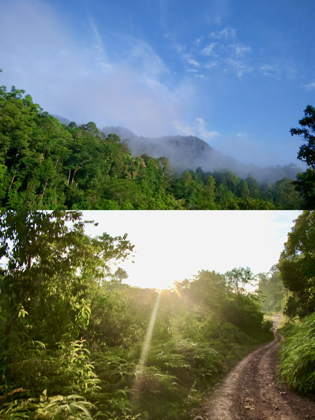 Jungle trails and falling light: chasing the rainbow at Lembing Waterfall 