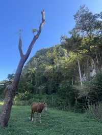 Connecting with nature in Cuba 