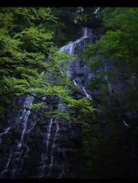 【龍双ヶ滝で心洗われる滝旅】福井の秘境でマイナスイオン全開🌿💧