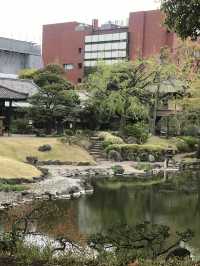 【東京　浅草寺と伝法院庭園、にぎわう寺町を歩く】