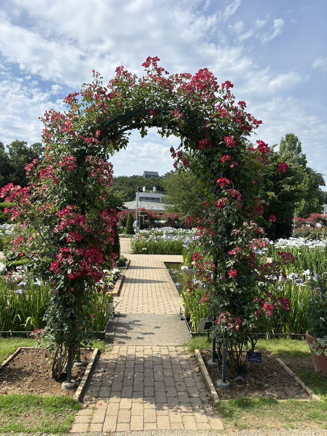 花に癒される！季節の花畑͛💠有名な観光地は？