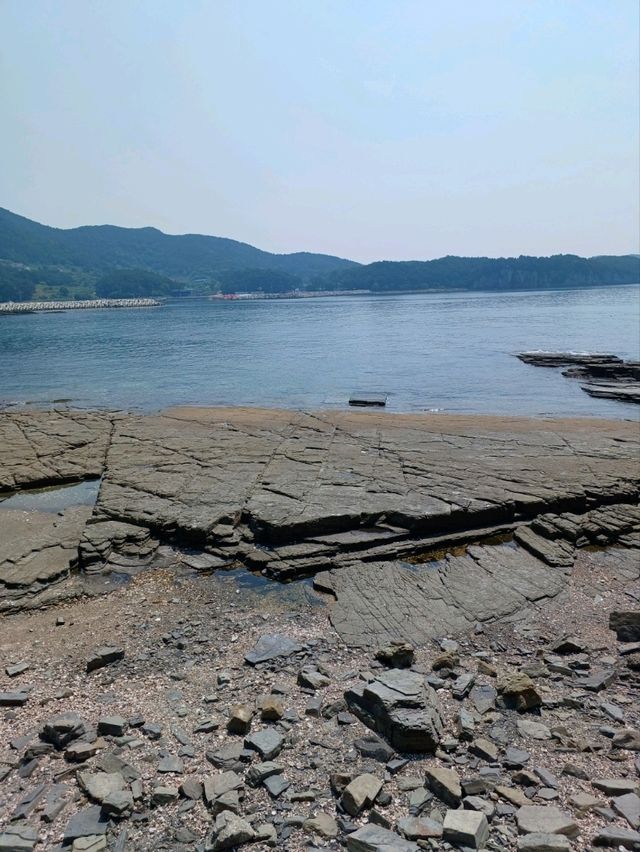 바닷물에 새겨진 공룡의 인상🦖