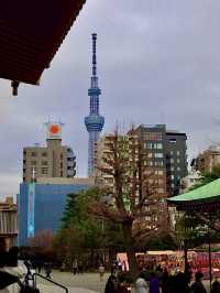 โอซาก้า🇯🇵
