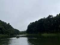 พายเรือไม้ไผ่ ชมหงส์ท่ามกลางสายหมอก ณ ปางอุ๋ง