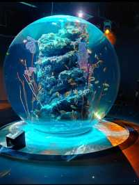 【átoa（アトア）】アート×水族館の新感覚体験！五感で楽しむ幻想空間🎨🐟