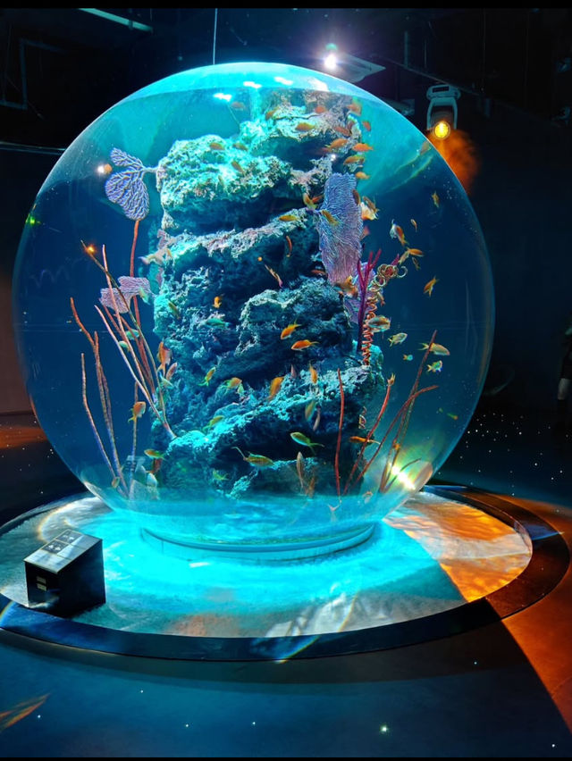 【átoa（アトア）】アート×水族館の新感覚体験！五感で楽しむ幻想空間🎨🐟