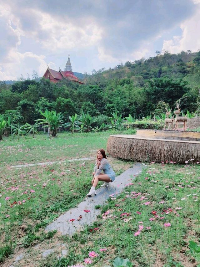 ชิราคาวาโกะ คาเฟ่ สวนผึ้ง