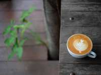 Akha Ama Coffee