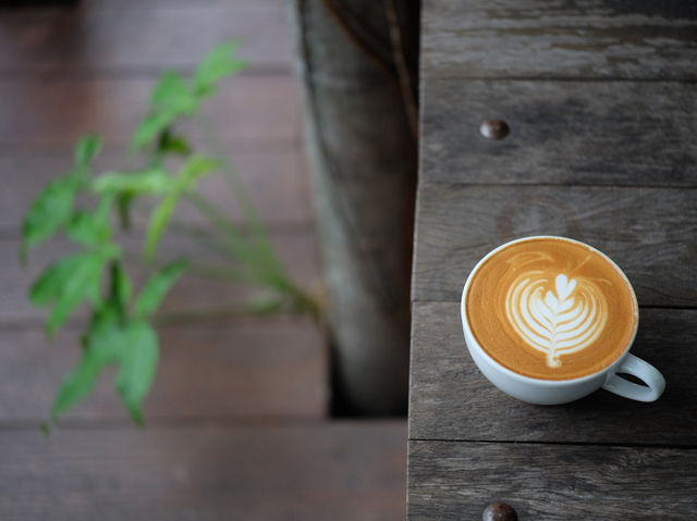 Akha Ama Coffee