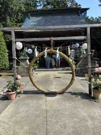磯山神社あじさいと夏祓い