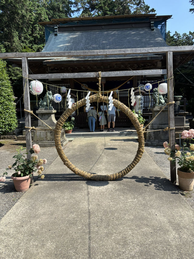 磯山神社あじさいと夏祓い