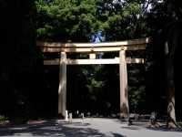東京之美 等你來體會