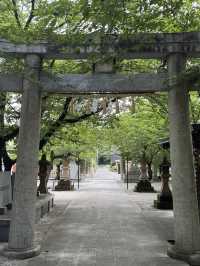 【北九州観光】月に2回入れ替わる花手水に癒される❁⃘