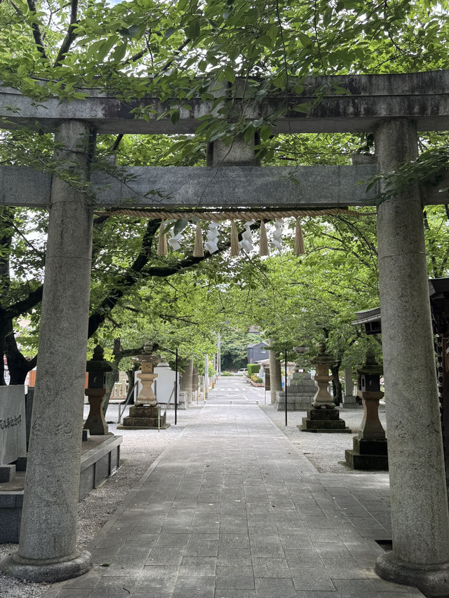 【北九州観光】月に2回入れ替わる花手水に癒される❁⃘