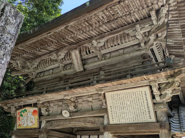 【日本・福岡🇯🇵】糸島の絶景スポット