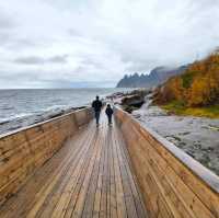 Cliffs & Calm: A Day at Tungeneset, Senja