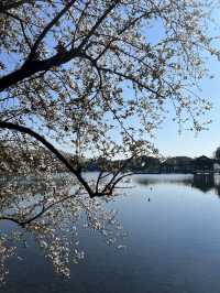 The vibe of Hangzhou