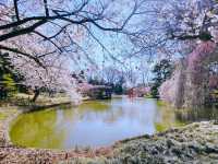 布魯克林植物園